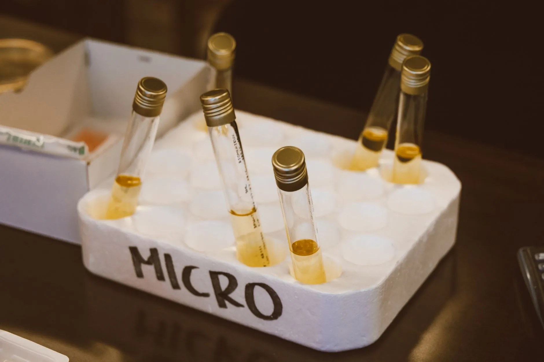板鞋帆布鞋生产工艺对比及质量控制要点