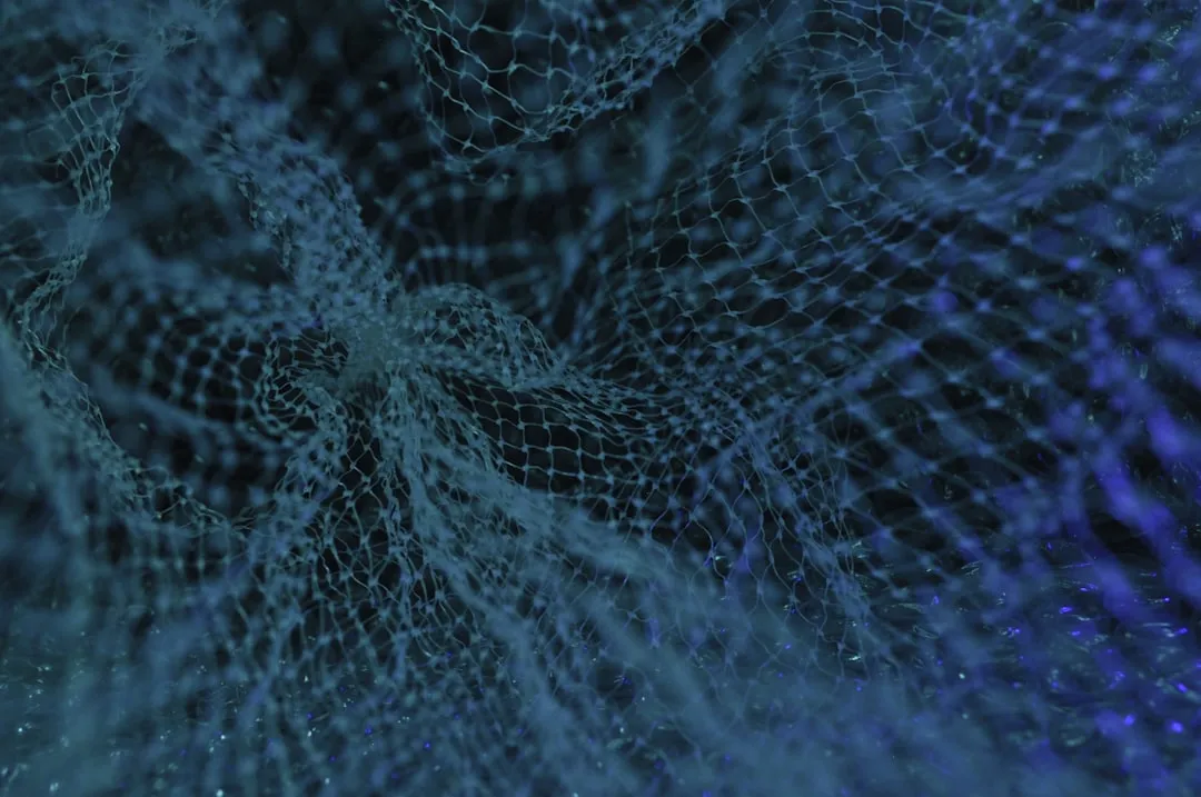 惜米板鞋与帆布鞋材质对比：帆布、皮革与超纤面料的性能分析