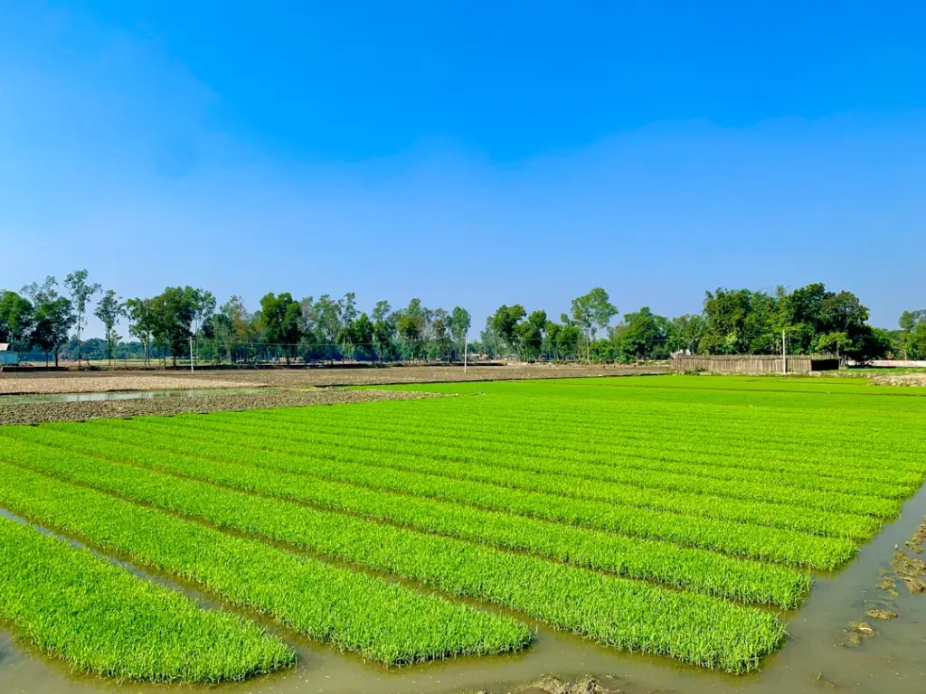 板鞋与帆布鞋采购对比分析：鞋类零售商如何根据目标市场做出合理选择