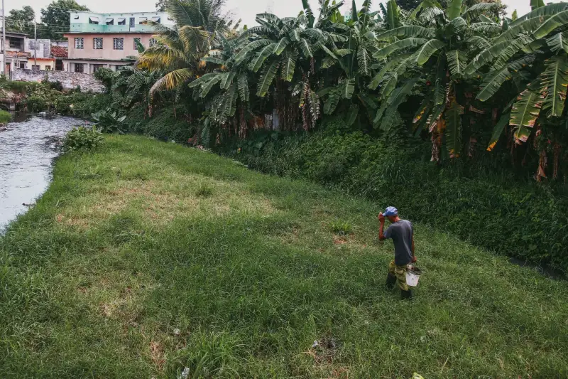 运动鞋板鞋帆布鞋行业新材料应用趋势分析