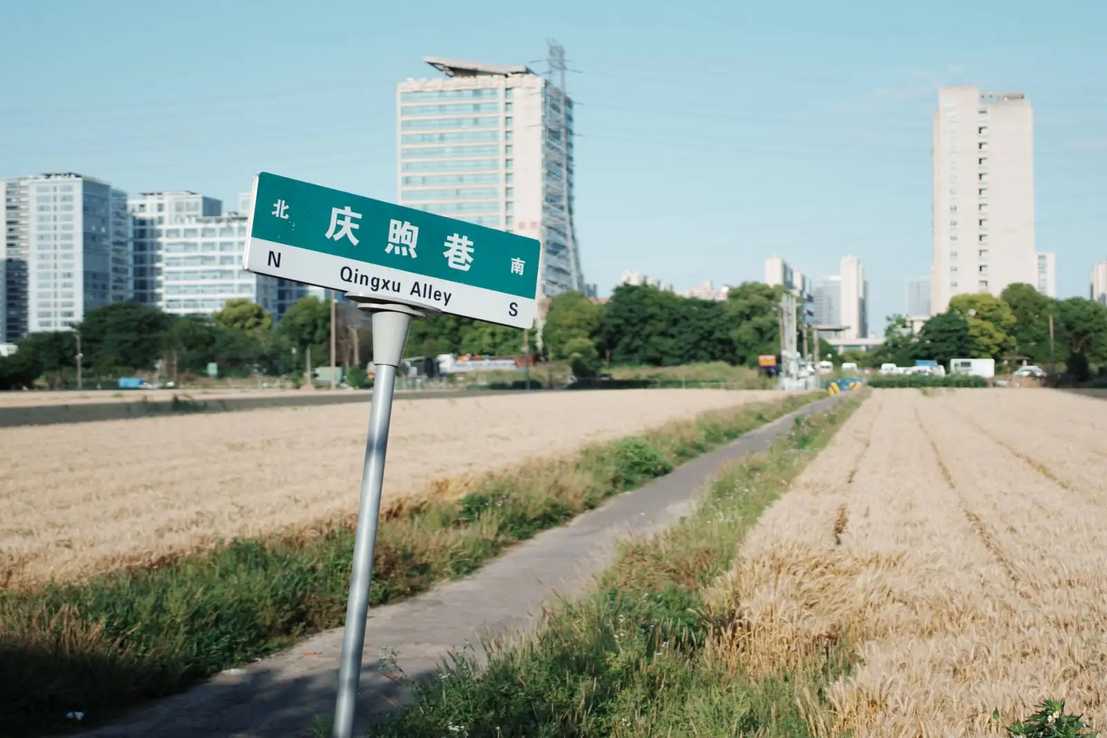 2024年休闲运动鞋板鞋帆布鞋批发市场价格趋势分析